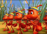 KISAH NABI SULAIMAN DAN SEMUT MERAH