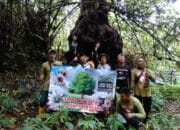 Satu pohon untuk air dan udara